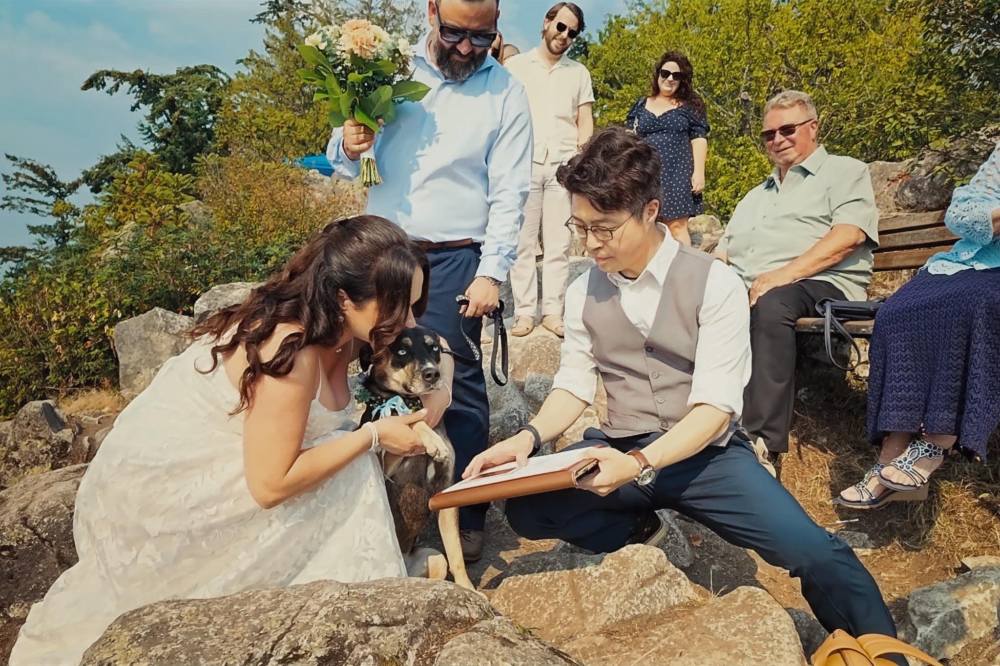 A beloved animal participating in a wedding celebration