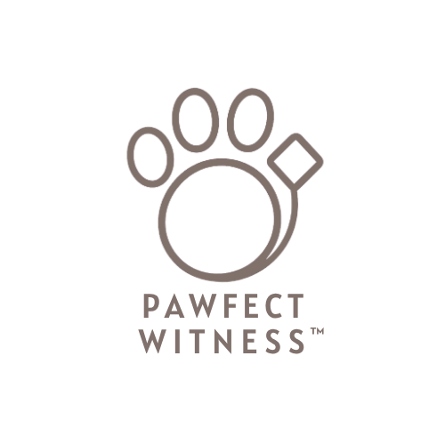 Pawfect Witness